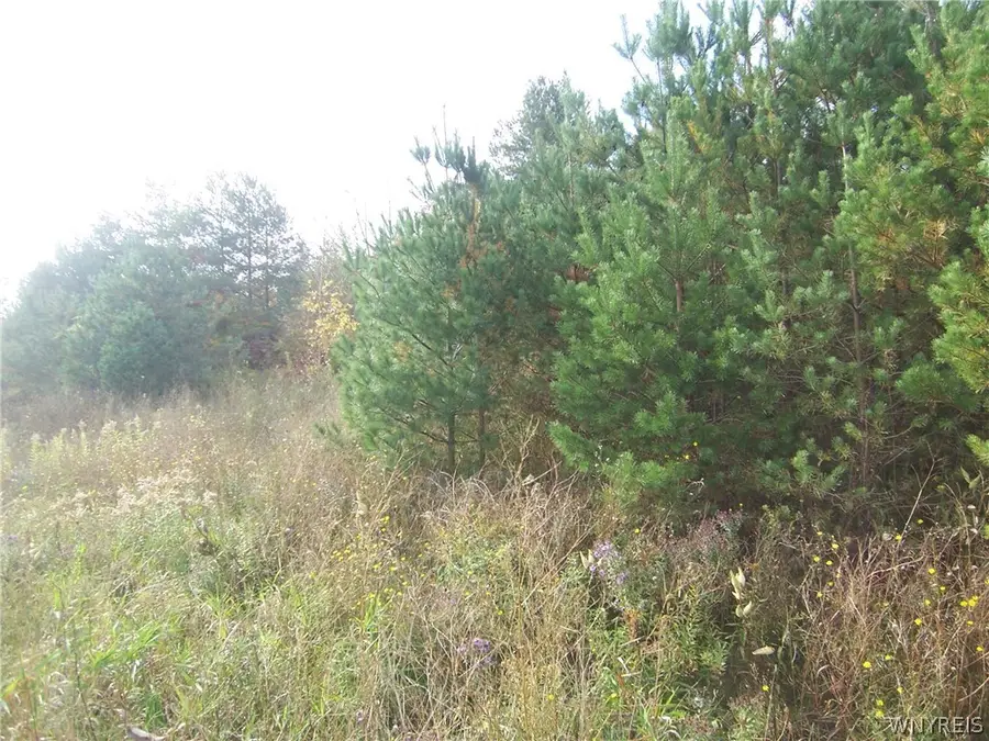 Lot 2 Colony Run, Alexander, NY 14005 - #3