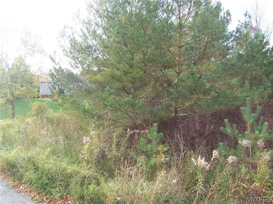 Lot 3 Colony Run, Alexander, NY 14005 - #2