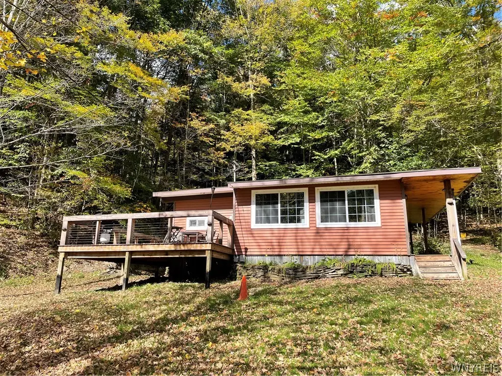 2530 County Road 24, Swain, NY 14884 - #1