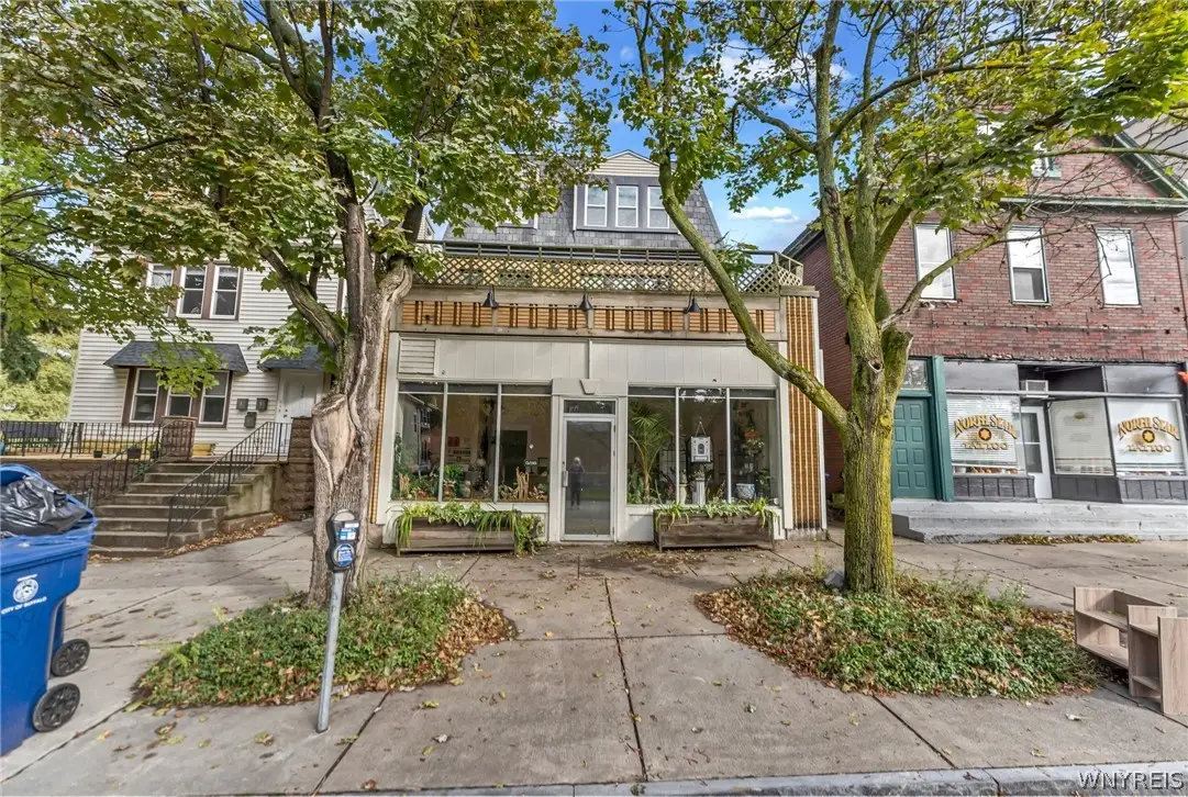291 Bryant Street, Buffalo, NY 14222 - #1