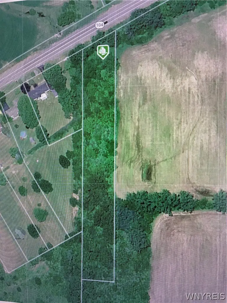 Ridge Road, Lewiston, NY 14092 - #3