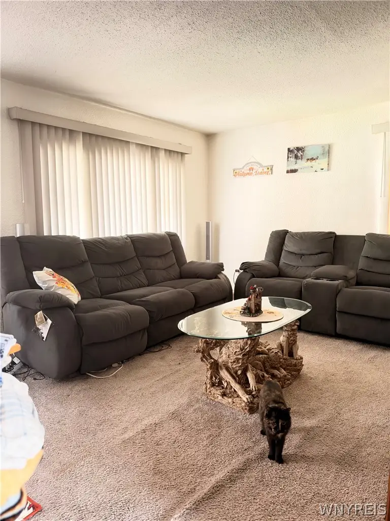 242 Boll Street, Buffalo, NY 14212 - #3