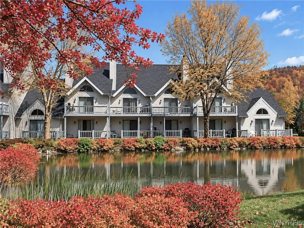 47 Wildflower, Ellicottville, NY 14731 - #1