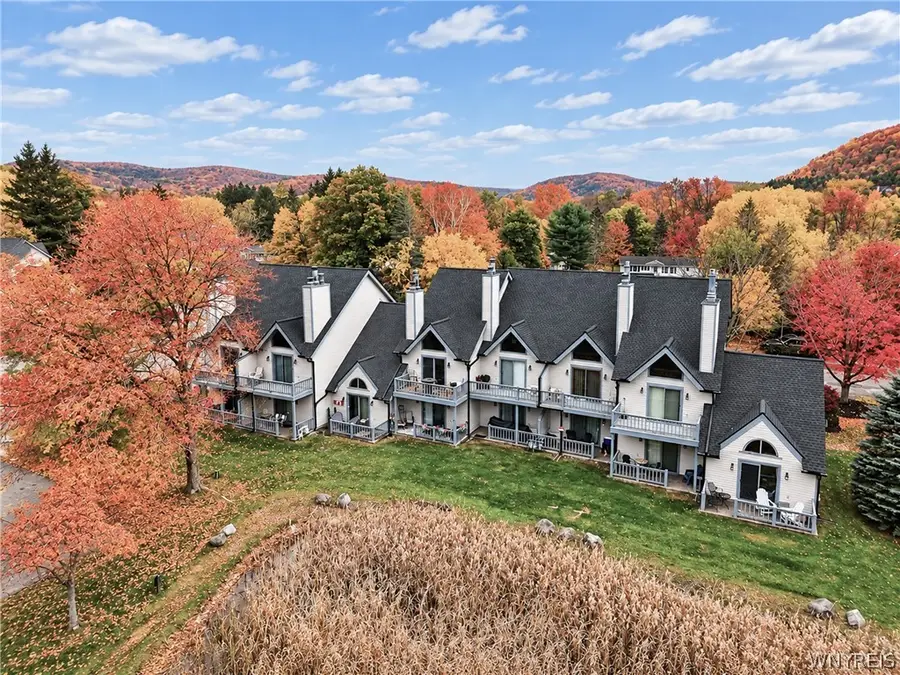 47 Wildflower, Ellicottville, NY 14731 - #2