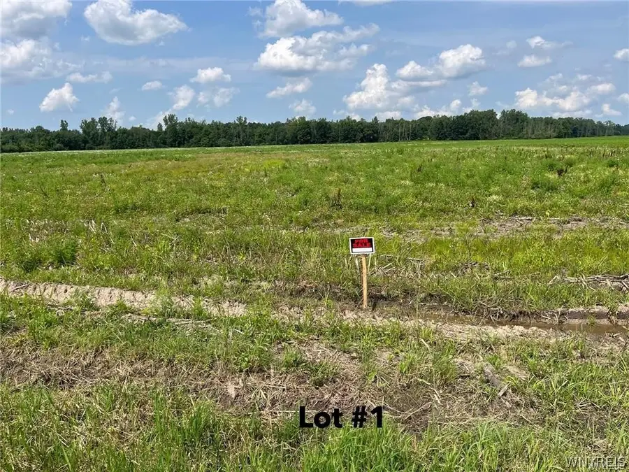 V/L Miland Road, Akron, NY 14001 - #2
