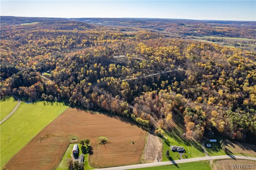 V/L Maples, Little Valley, NY 14755 - #1