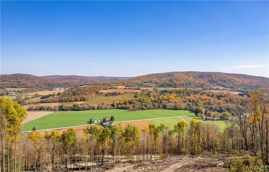 V/L Maples, Little Valley, NY 14755 - #2