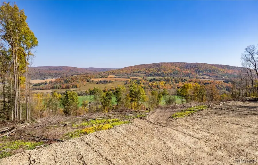 V/L Maples, Little Valley, NY 14755 - #3