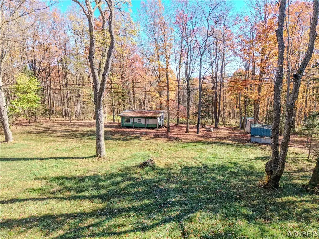 VL Riga Road, Conewango Valley, NY 14726 - #1