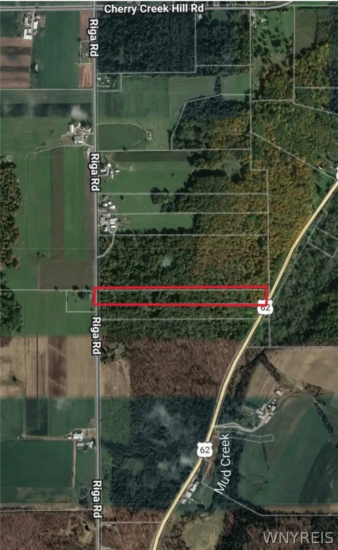 VL Riga Road, Conewango Valley, NY 14726 - #2