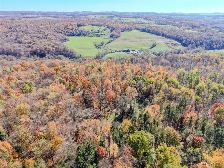 VL Riga Road, Conewango Valley, NY 14726 - #3