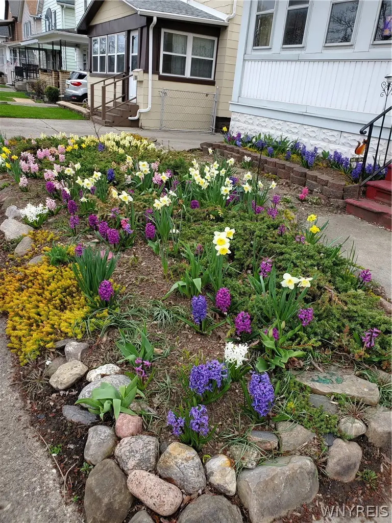 172 Downing Street, Buffalo, NY 14220 - #3