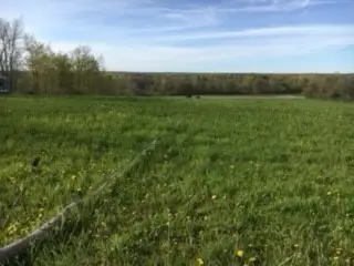 6798 Swamp Road, Byron, NY 14422 - Image #3