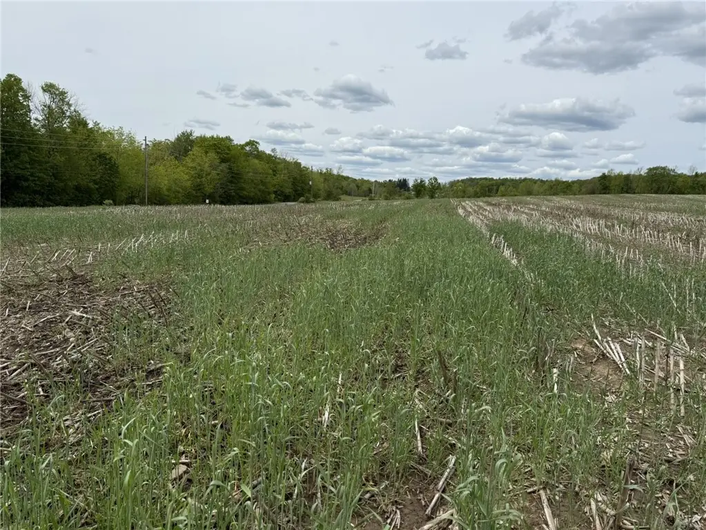 L7.415 County Road 7, McDonough, NY 13801 - #1