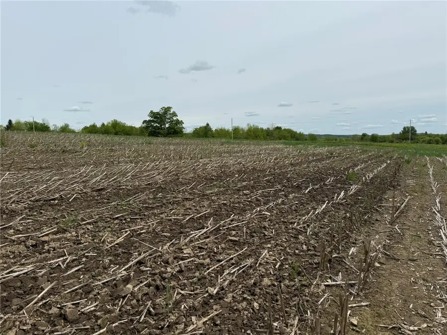 L7.415 County Road 7, McDonough, NY 13801 - #2