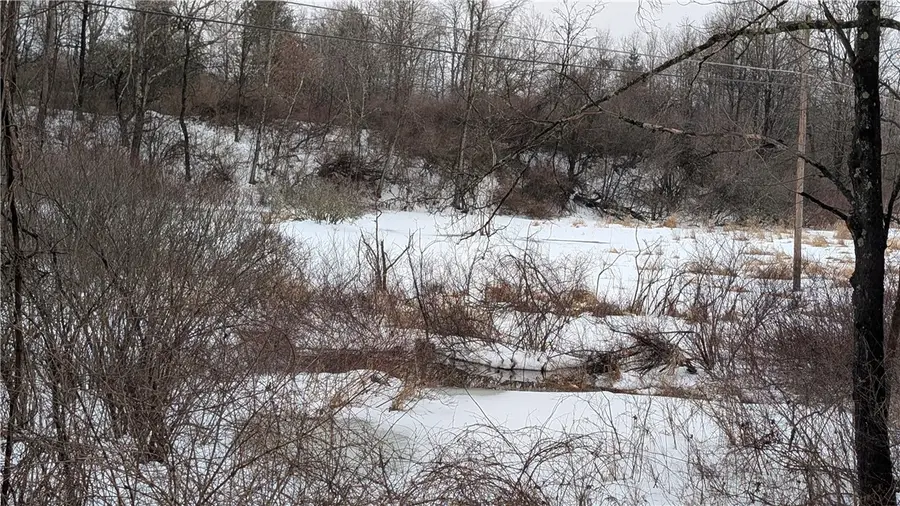 Algerine Street, Afton, NY 13730 - #3