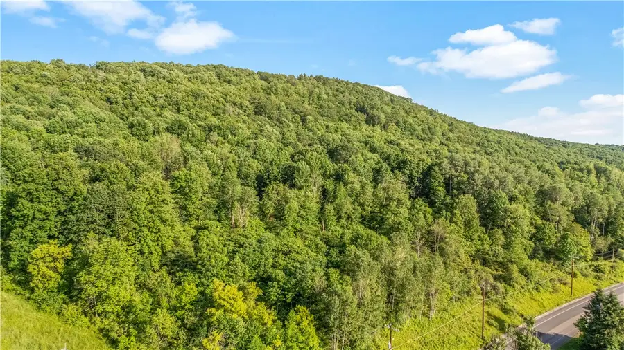 L31.1 County Road 32, Norwich, NY 13815 - Image #2