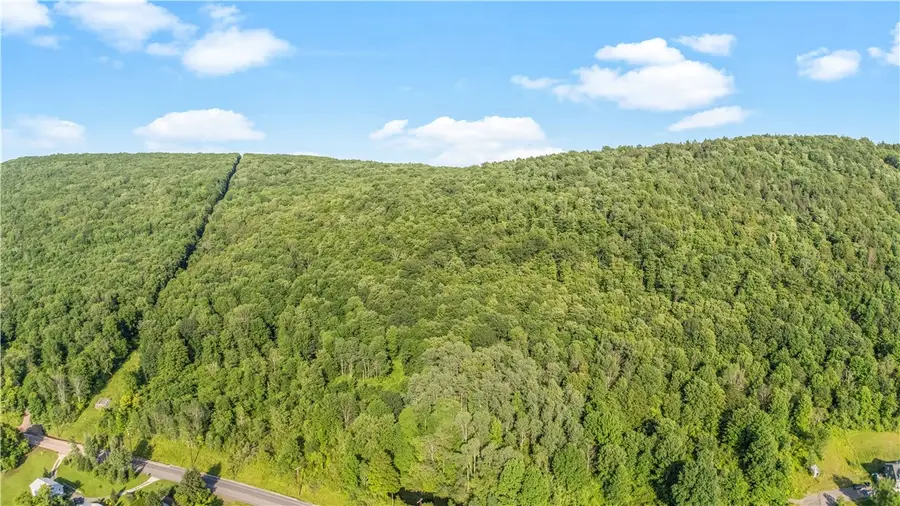 L31.1 County Road 32, Norwich, NY 13815 - Image #3