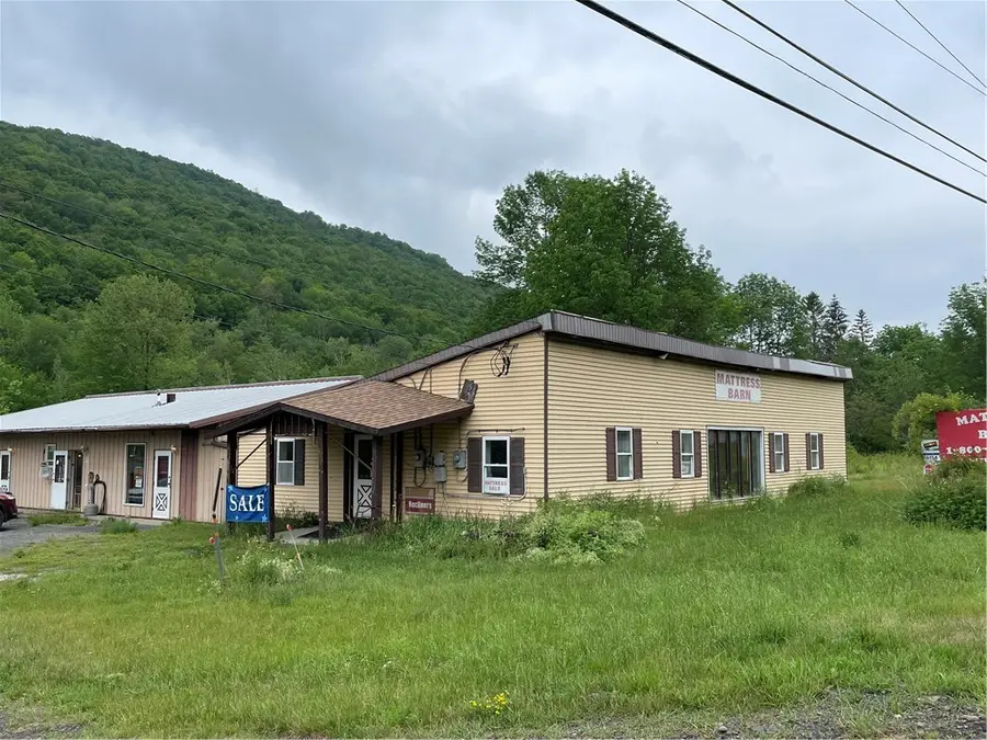 8663 Route 28, Pine Hill, NY 12465 - #3