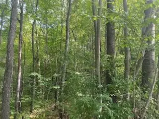 0 Sam Holdridge Road, West Burlington, NY 13482 - Image #3