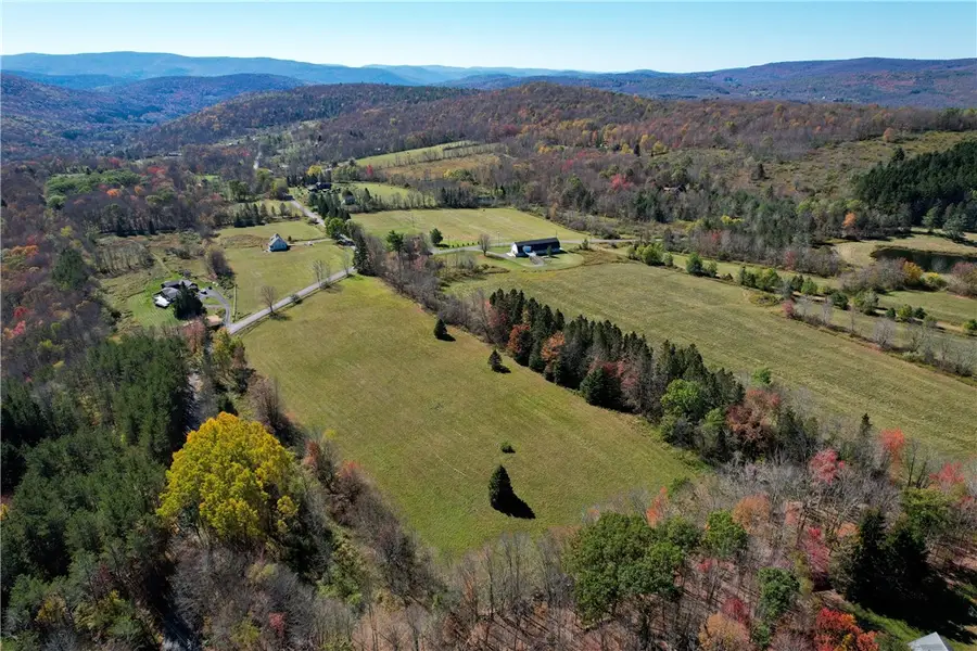 Lot 5.71 John Shultis Road, Roxbury, NY 12474 - Image #3