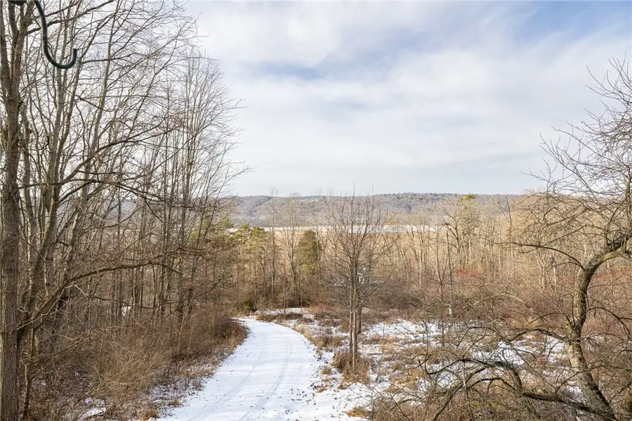 6365 E Swamp Road, Conesus, NY 14435 - Image #3