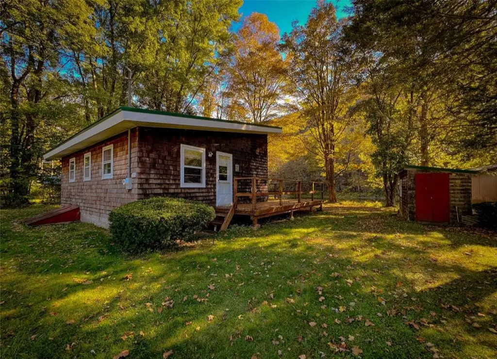 205 Long Flats Road, East Branch, NY 13756 - Image #1
