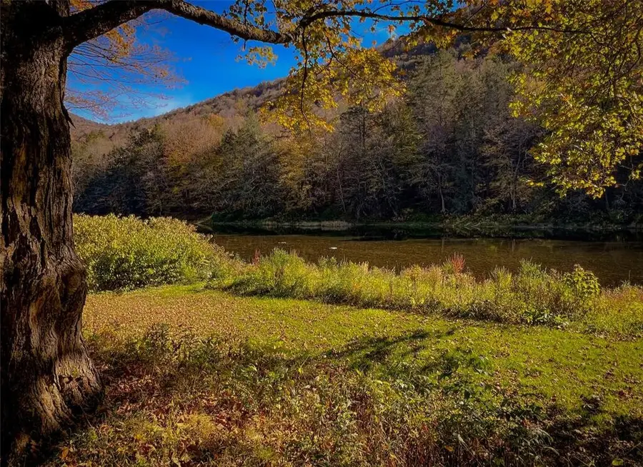 205 Long Flats Road, East Branch, NY 13756 - Image #3