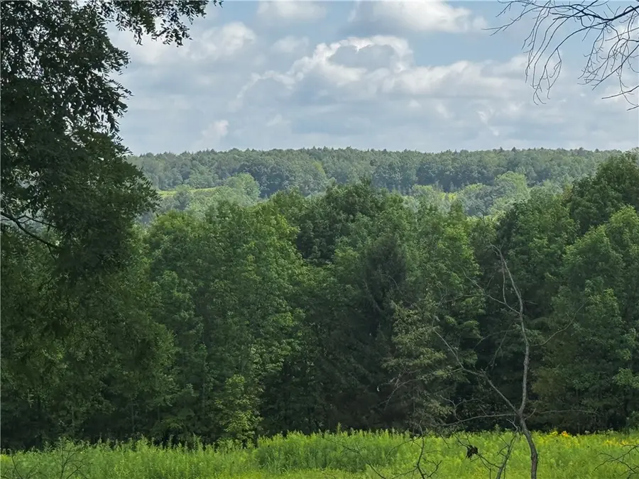 Ramey Road, Pittsfield, NY 13411 - Image #2