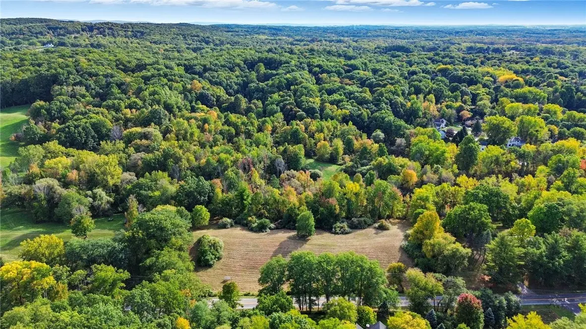 Cheese Factory Rd, Mendon, NY 14472 - Image #1