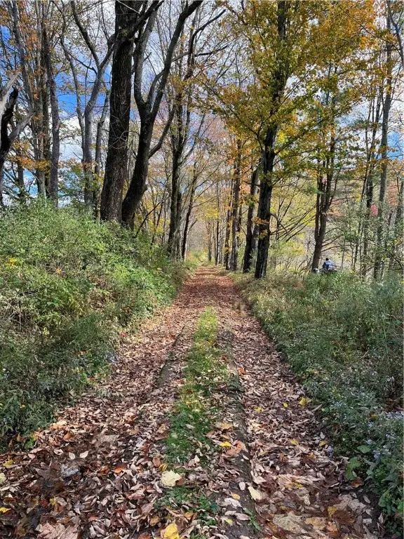 0 Baker Road, Butternuts, NY 13776 - Image #3