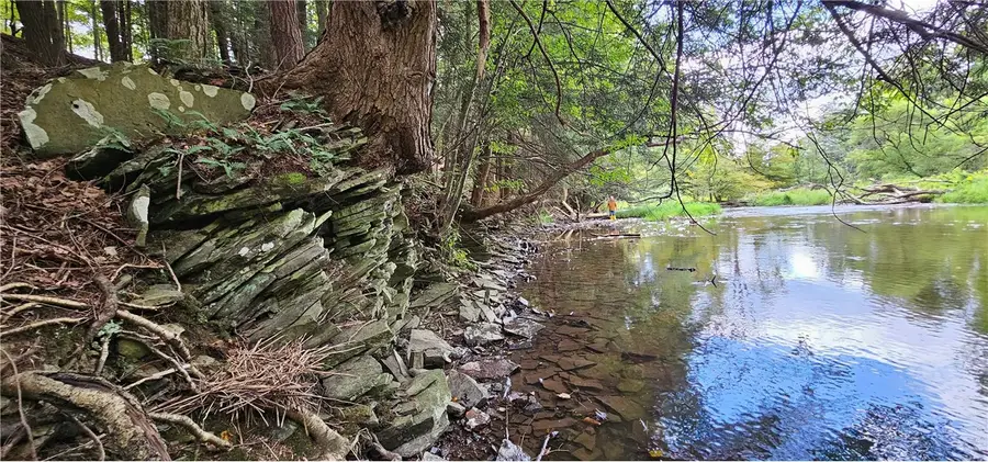 0 Lafayette Road, Groton, NY 13073 - Image #2