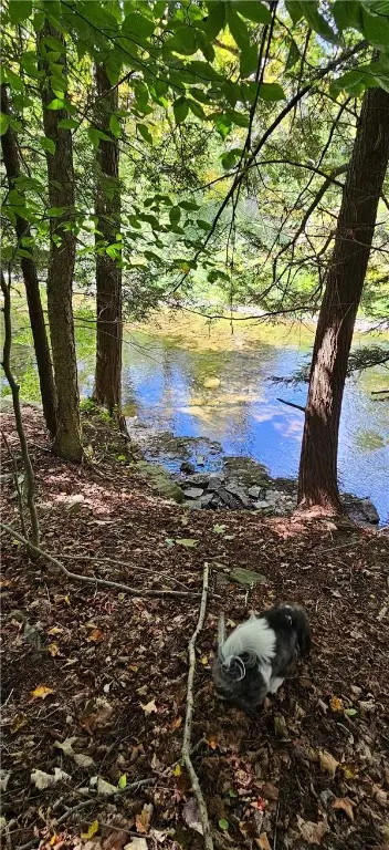 0 Lafayette Road, Groton, NY 13073 - Image #3