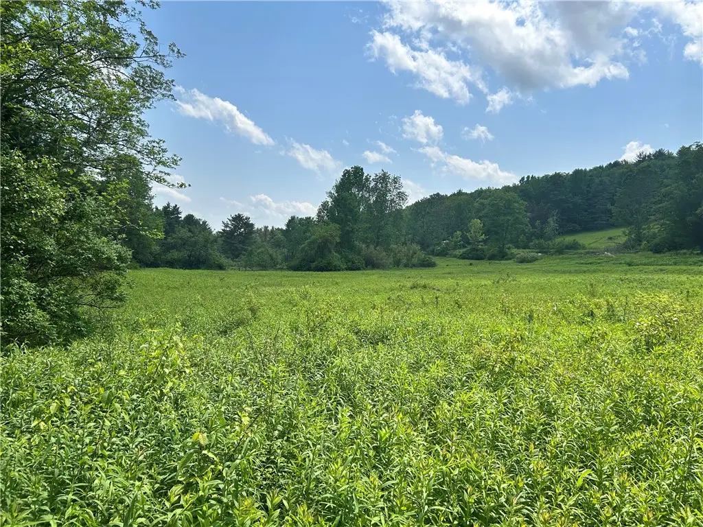Lot 3 Oregon Road, Gilbertsville, NY 13776 - Image #1