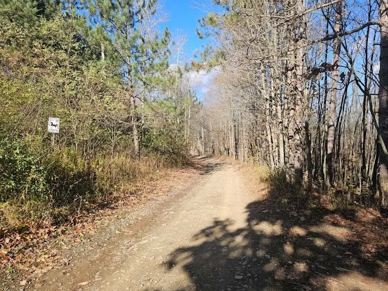 0 Thunder Mountain E, Springwater, NY 14560 - Image #3