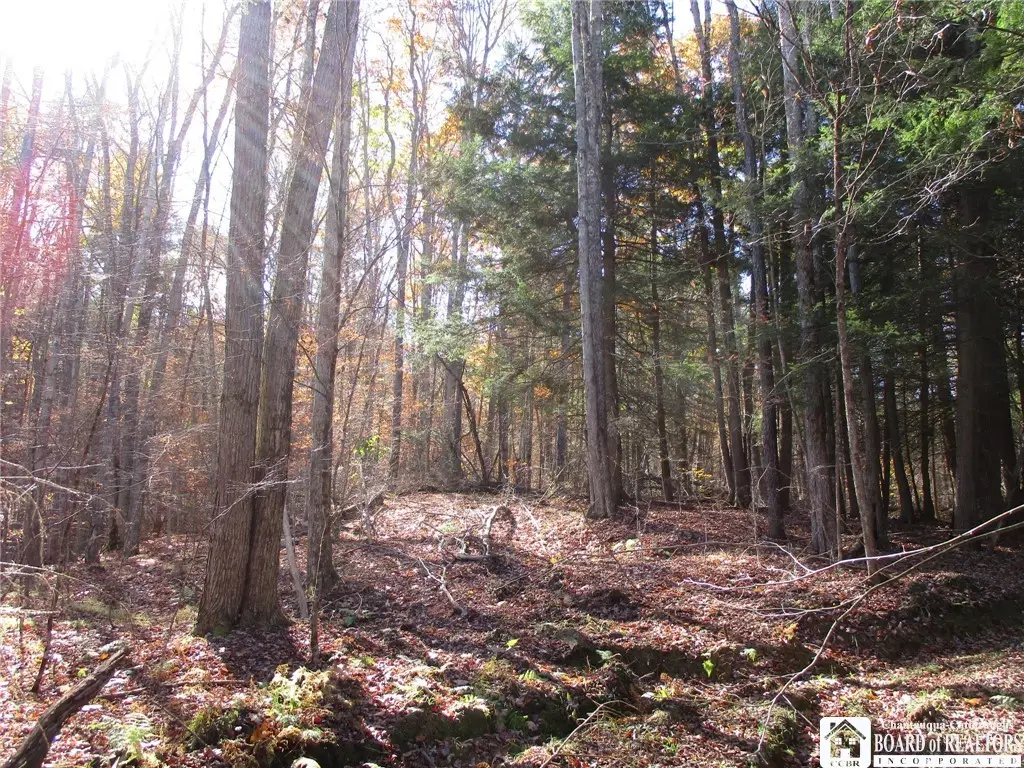Gordon Brook, Scio, NY 14880 - #1