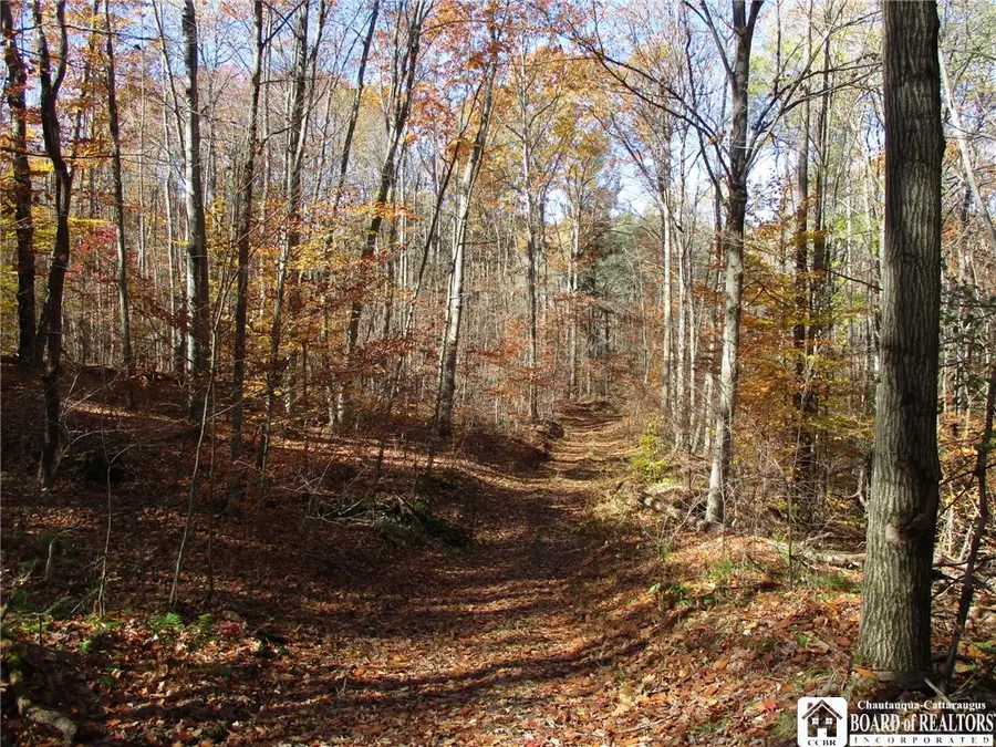 Gordon Brook, Scio, NY 14880 - #3