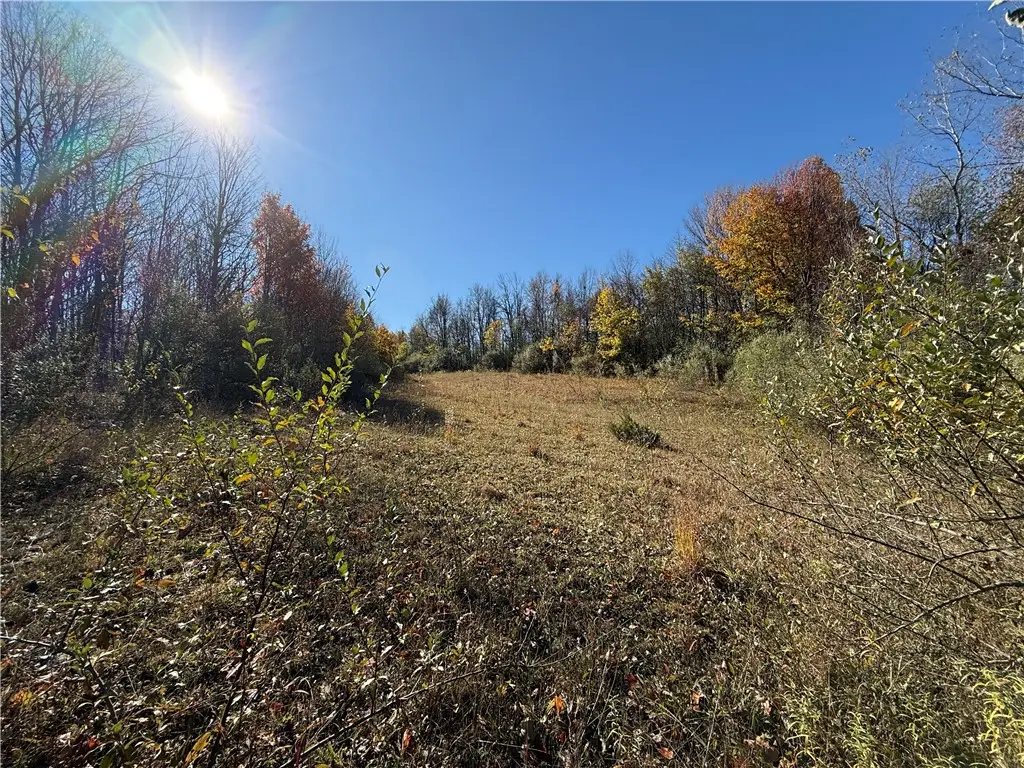 Willowdale Drive, Macedon, NY 14502 - Image #1