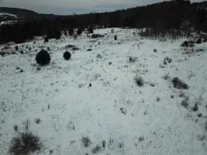 0 Daniels Road, South Plymouth, NY 13844 - Image #3