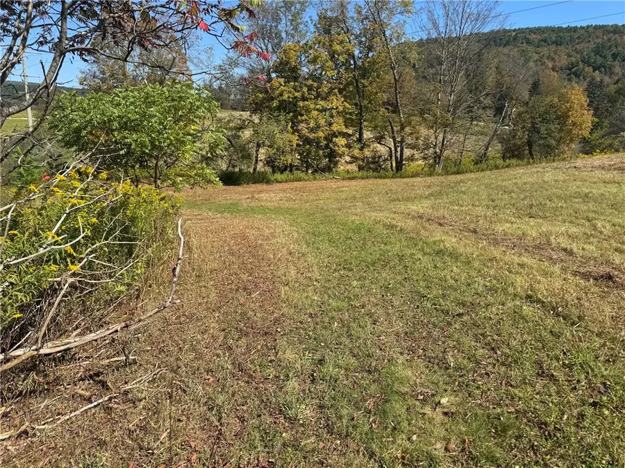 State Highway 357, Franklin, NY 13775 - #3