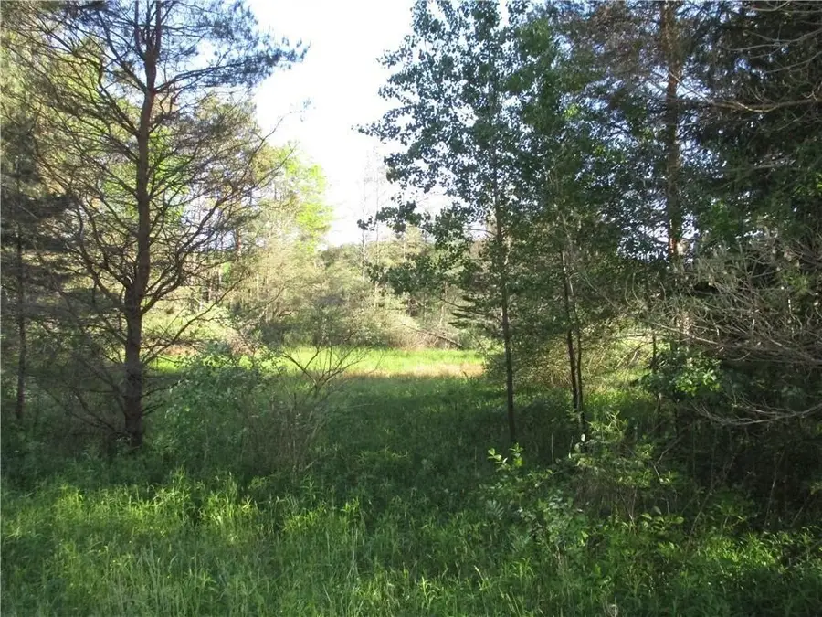 Lot 1 State Route 80, Smyrna, NY 13464 - Image #2