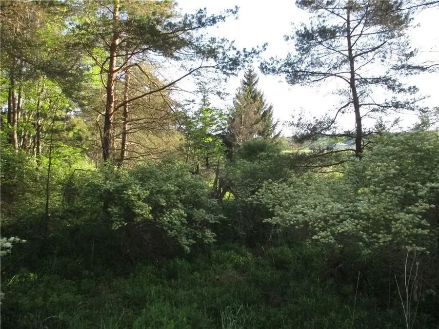 Lot 1 State Route 80, Smyrna, NY 13464 - Image #3