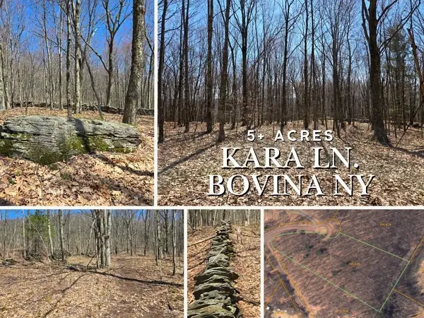 Lot 25 Kara Lane, Bovina Center, NY 13740
