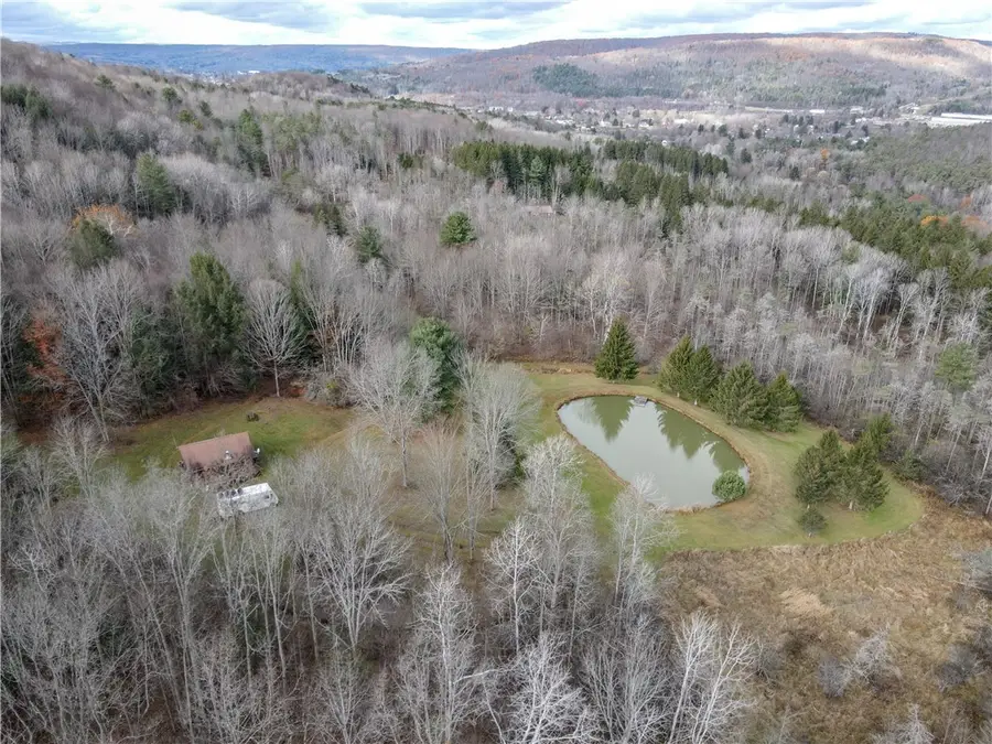 VL Trapping Brook Road, Wellsville, NY 14895 - Image #2