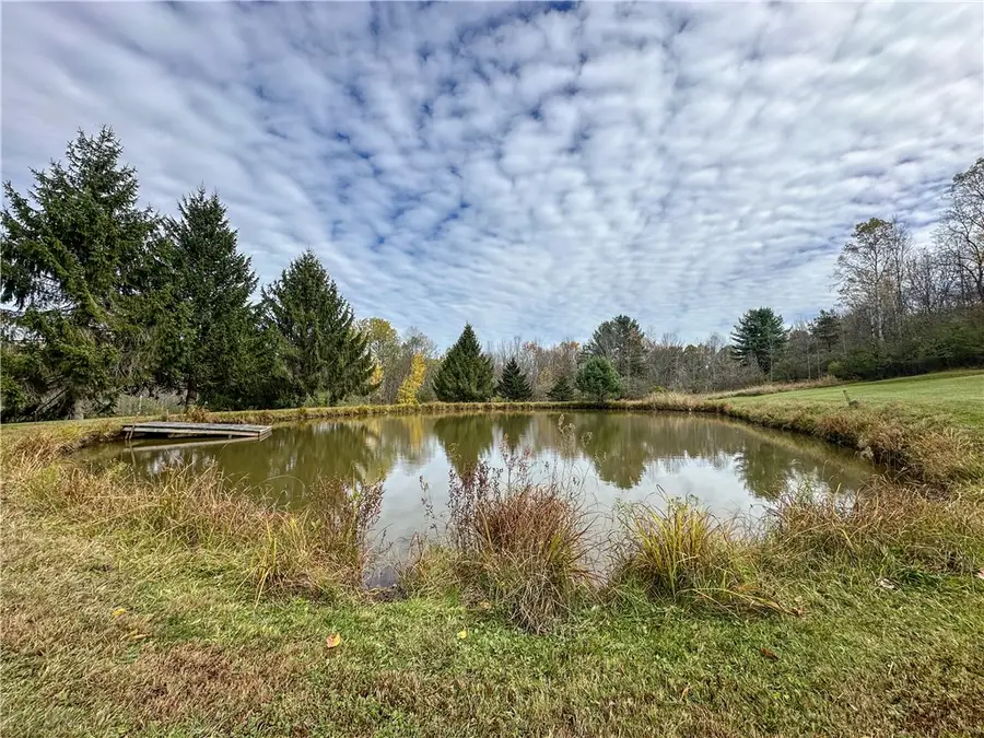 VL Trapping Brook Road, Wellsville, NY 14895 - Image #3