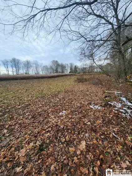 1723 Manchester Road, Jamestown, NY 14701 - Image #2