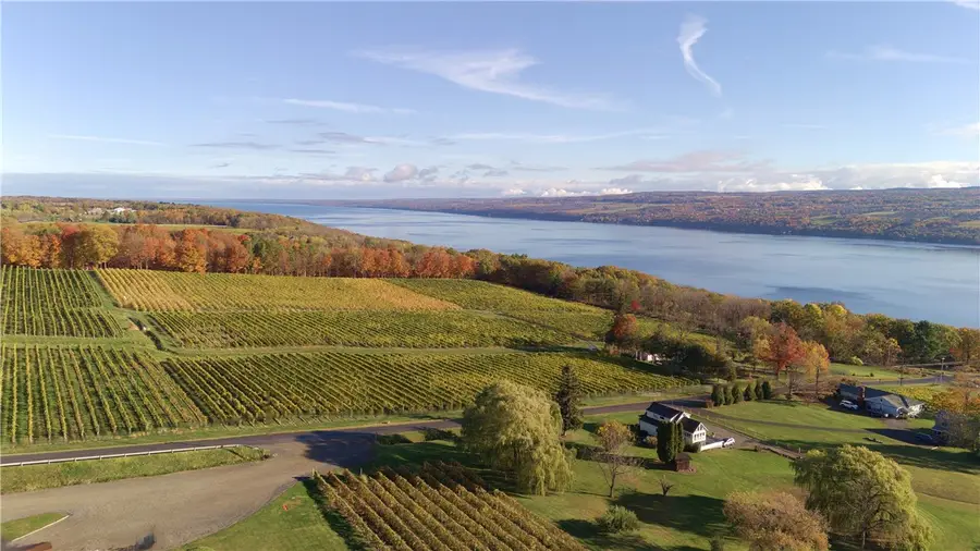 Lot 2 Elm Road, Dundee, NY 14837 - Image #3