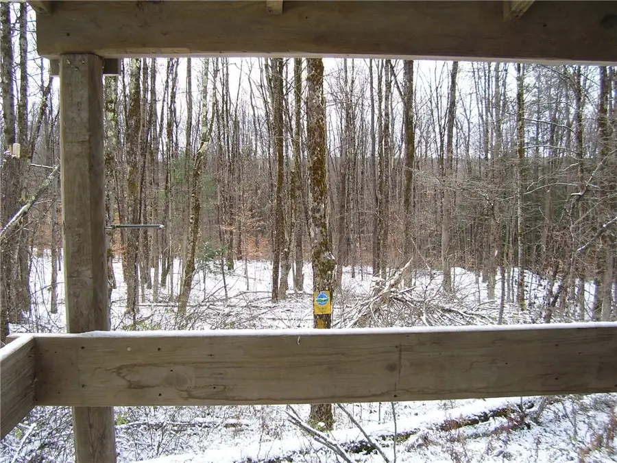 0 Waldon Road, McDonough, NY 13801 - Image #3