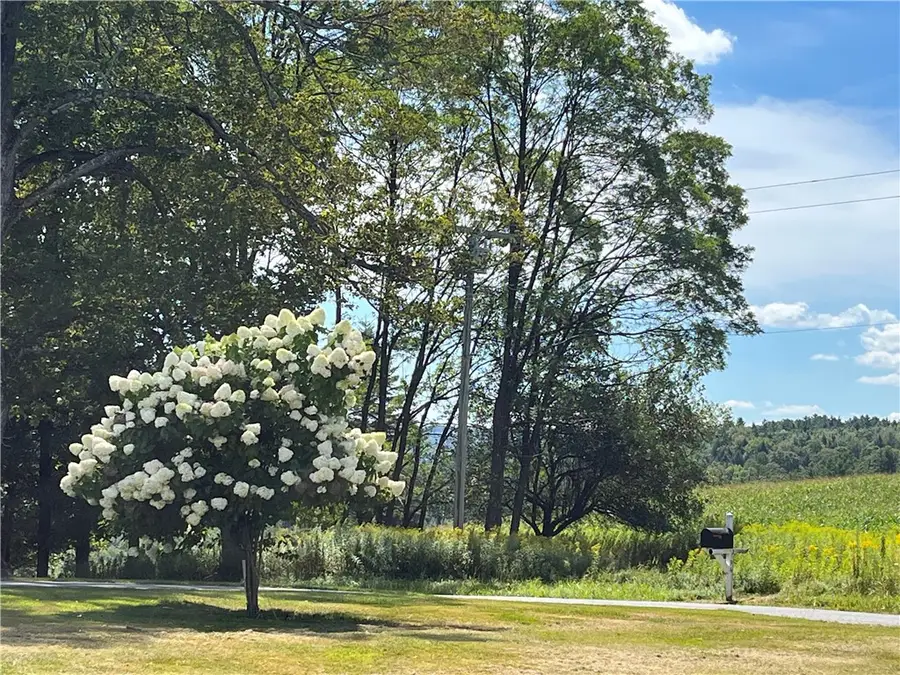 196 Short Crumhorn Road, Maryland, NY 12116 - Image #3