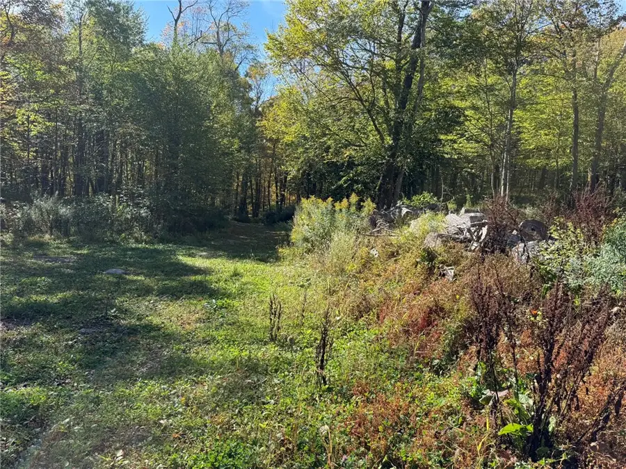 Roses Brk Road, Stamford Town, NY 12167 - Image #3